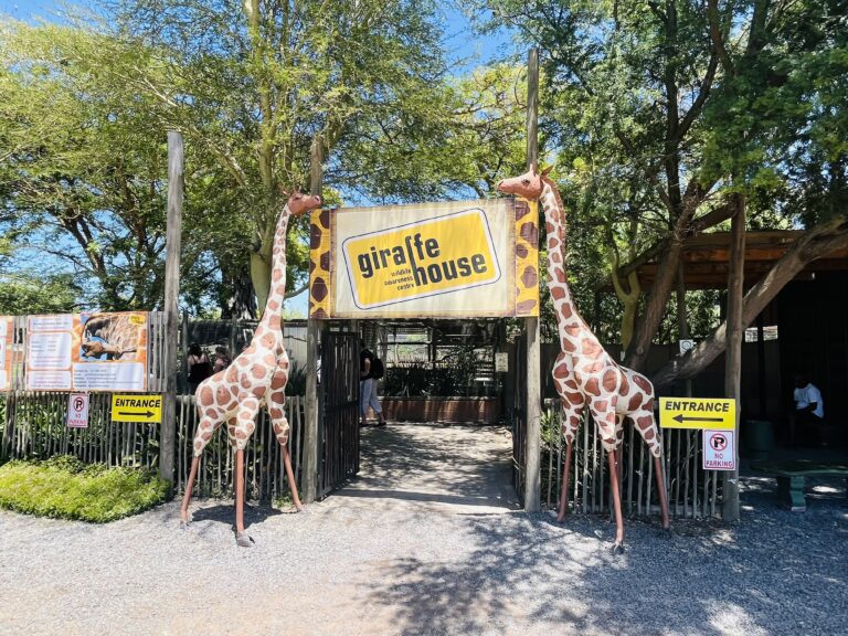 Giraffe House Entrance with giraffes