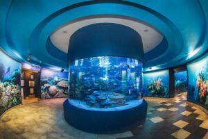 Two Ocean's Aquarium Cape Town