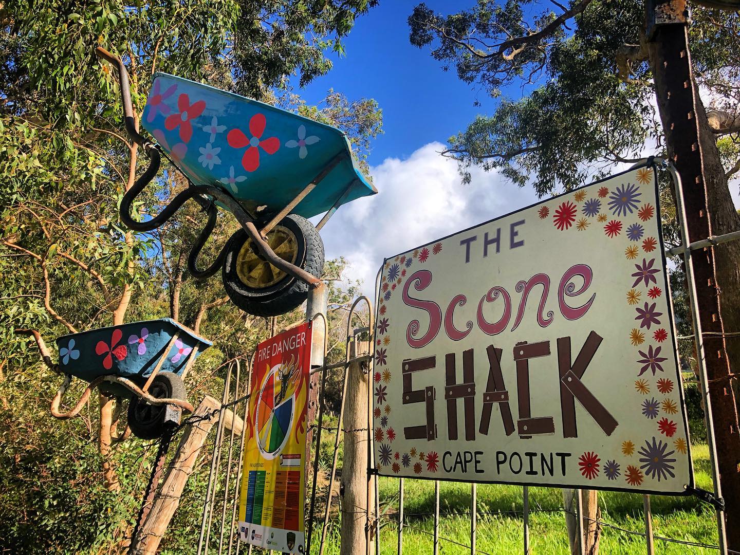 The Scone Shack Sign Cape Point