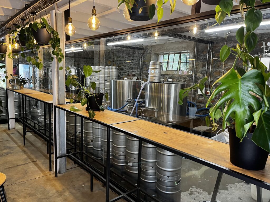 Starke Brews Brewery room