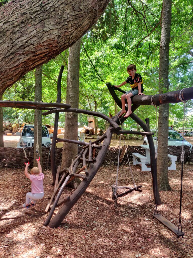 Picnic Cafe and Deli kids climbing tree