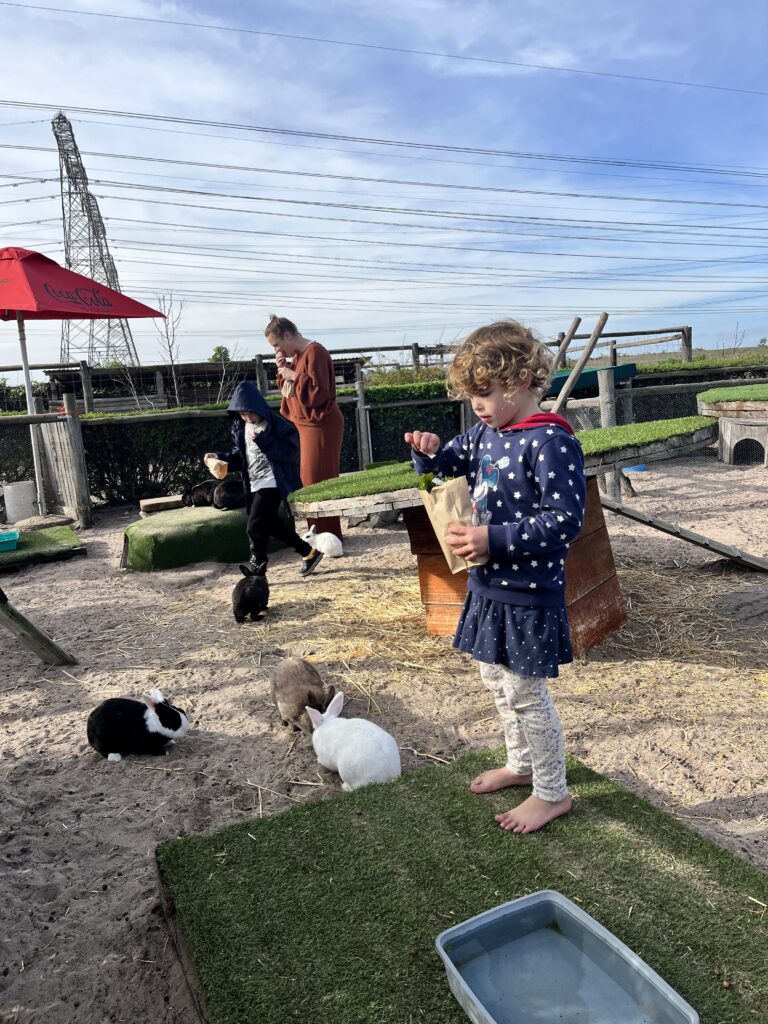 Melkbossie girl feeding rabbits