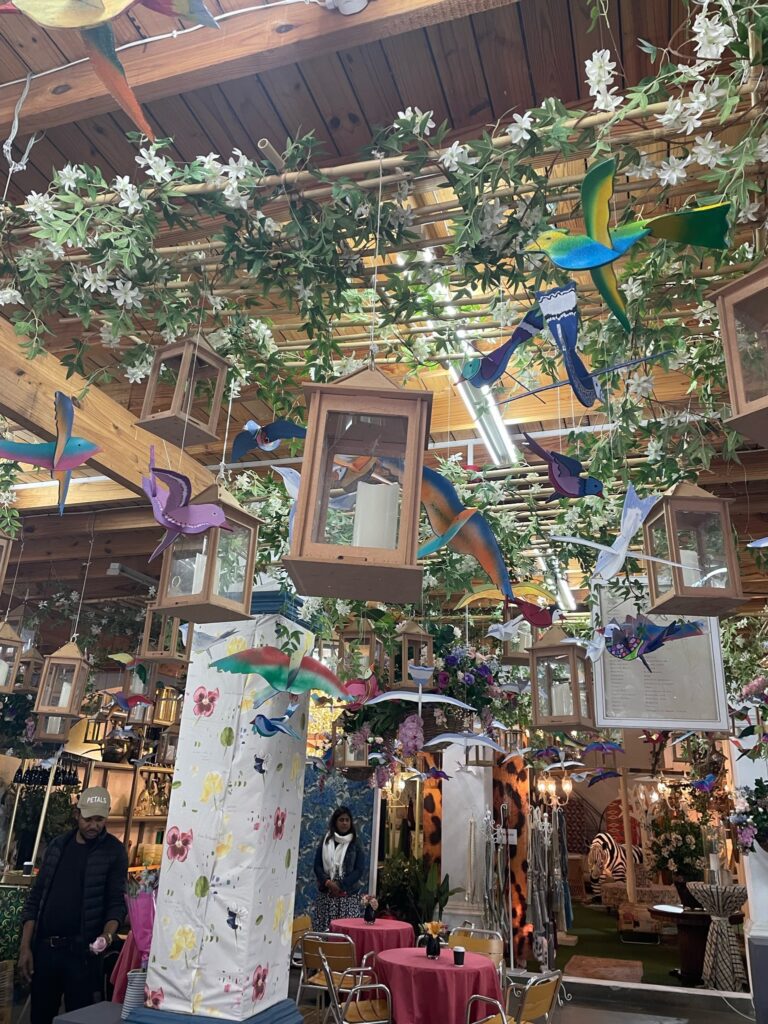 Flower Cafe Birds hanging from ceiling