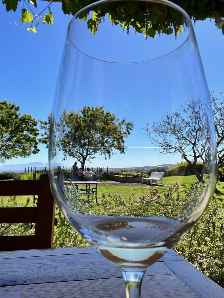 Longridge Estate View through a wine glass