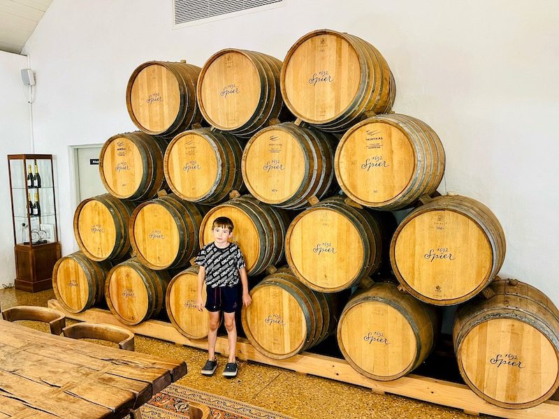 Spier Wine Barrels